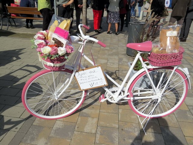 Megyei Közfoglalkoztatási Kiállítás 017